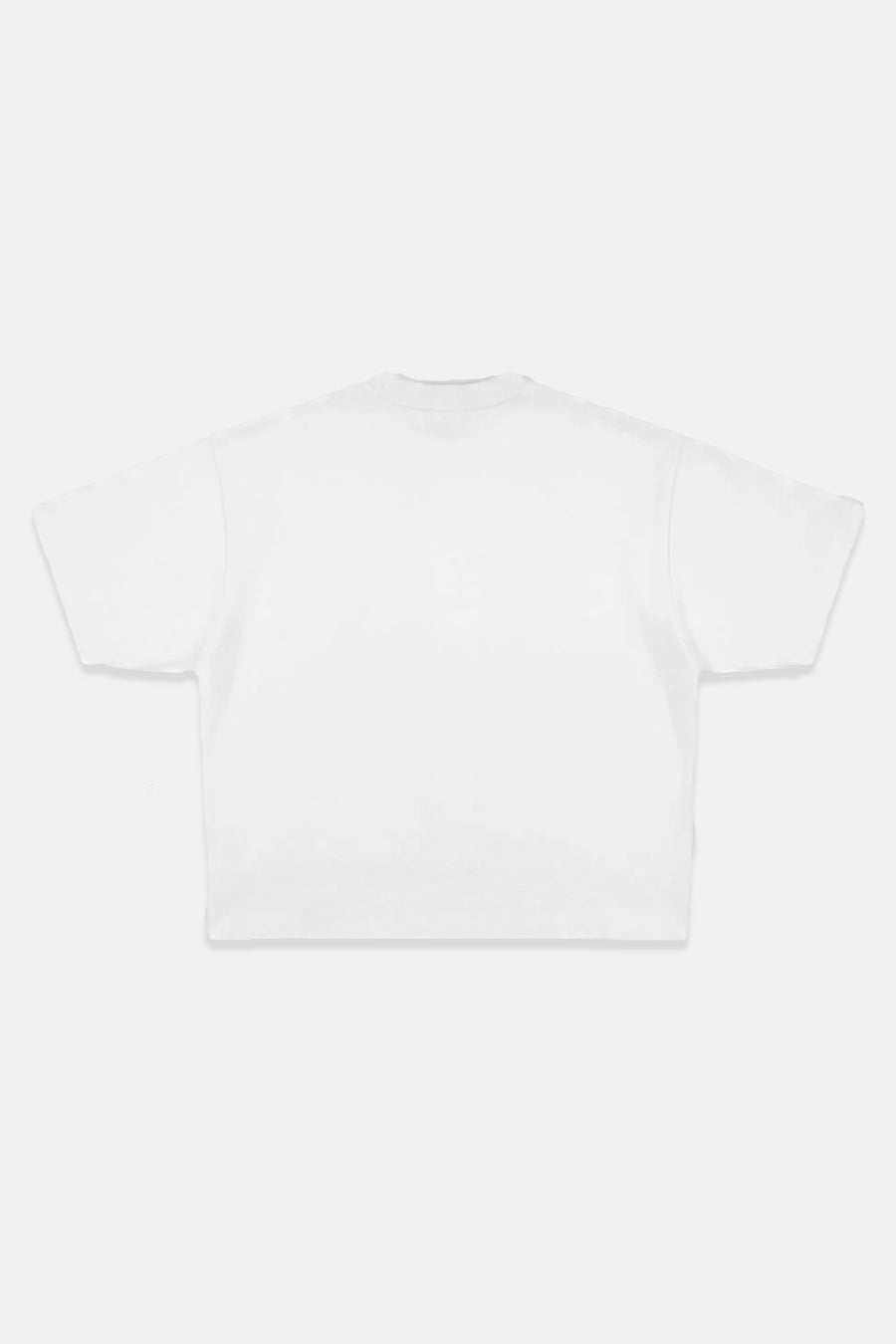 JR Fly Baskılı Beyaz Boxy Fit Tshirt