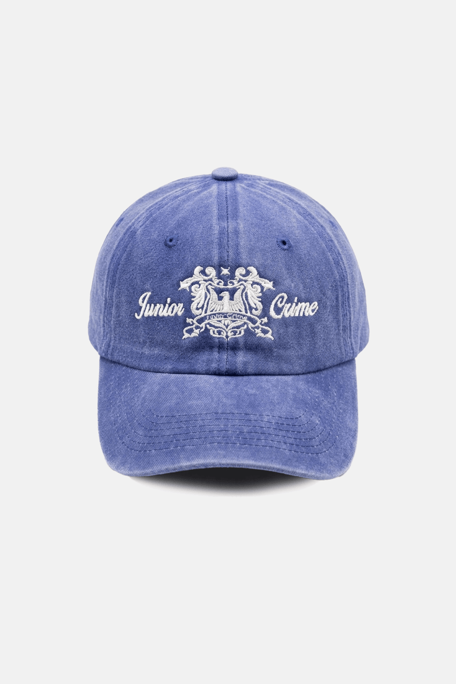 JR Eagle Blue Cap
