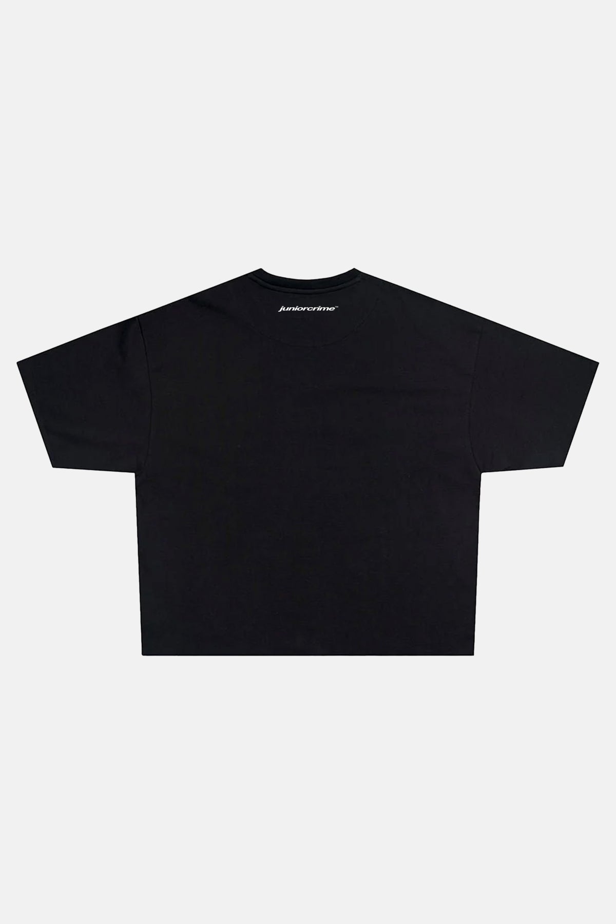 Radikal Merch - Hayran Değilim Taş Baskılı Siyah Boxy  (Pre Order)Tshirt