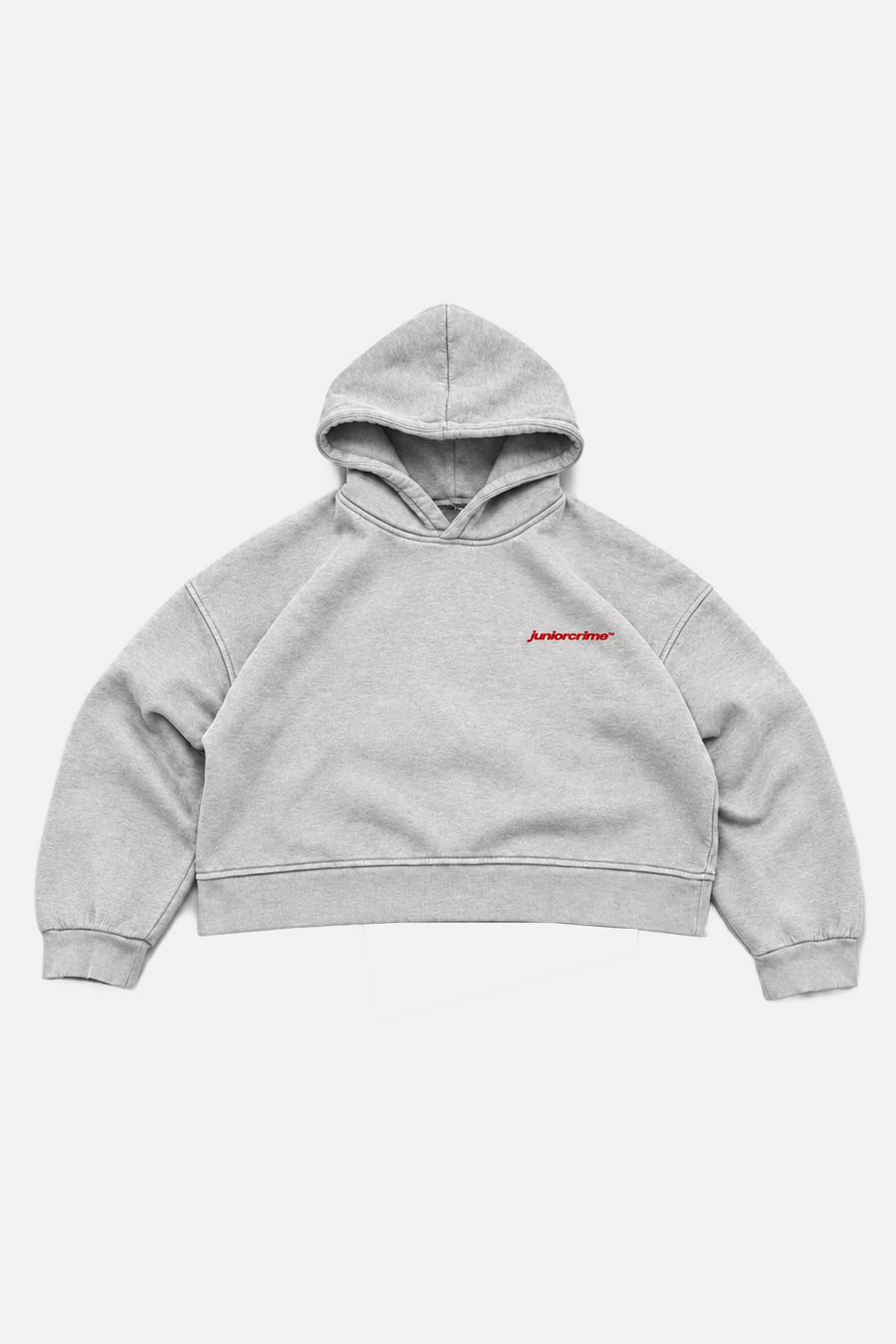 JR Real Boxy Fit Nakışlı Hoodie